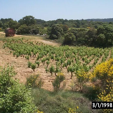 Les Remparts Casa vacanze Rieux-Minervois